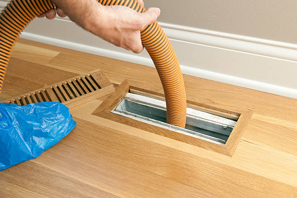 Best Affordable Duct Cleaning Services  in Carrollwood, FL